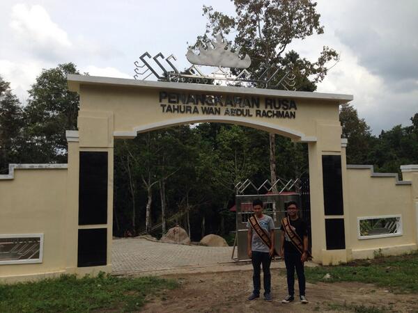 Akun Ig At Imkobal En Twitter Ini Penangkaran Rusa Di