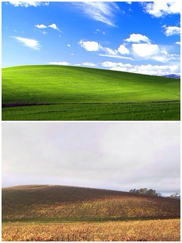 infantiablue's tweet image. The world's most famous valley, 10 years later. RIP Windows XP. #photography #windows #retro #landscape