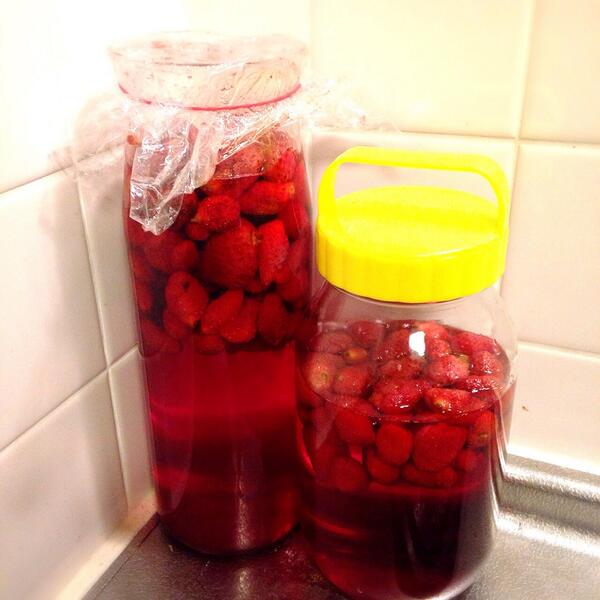 Hiromi A Twitter イチゴシロップのおさらい イチゴ 1kgと砂糖1 1kgを混ぜ合わせた最初の姿と その100時間後の写真を 瓶に入れて4日置いておくと 加熱も冷蔵も不要で シロップのできあがり 香り高く ヨーグルト お酒 炭酸水 かき氷などにおすすめ Http T