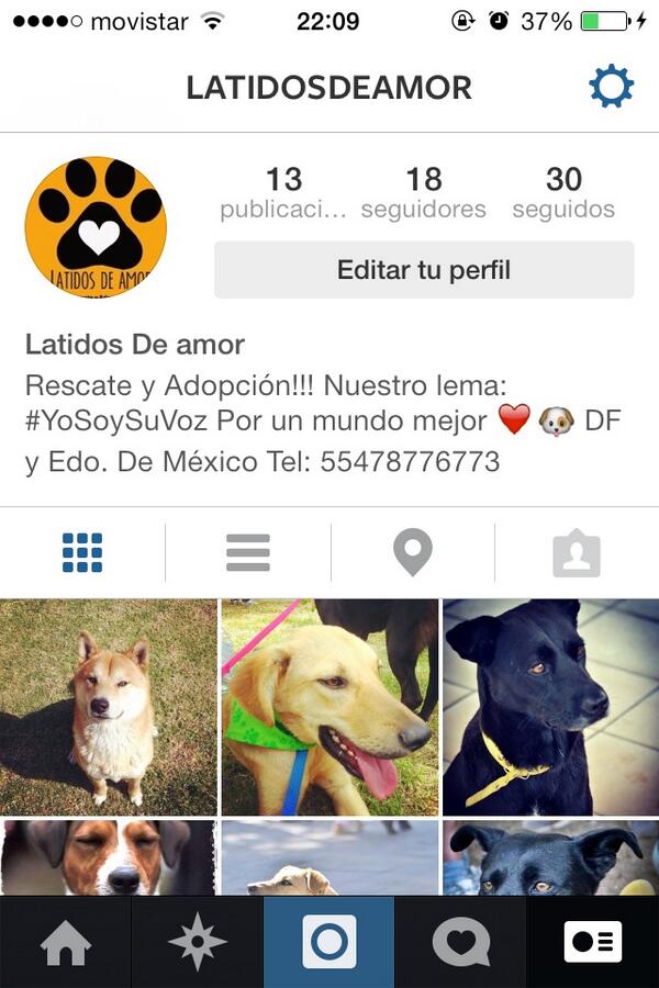 Síguenos en Instagram!! 😄😊❤️🐶