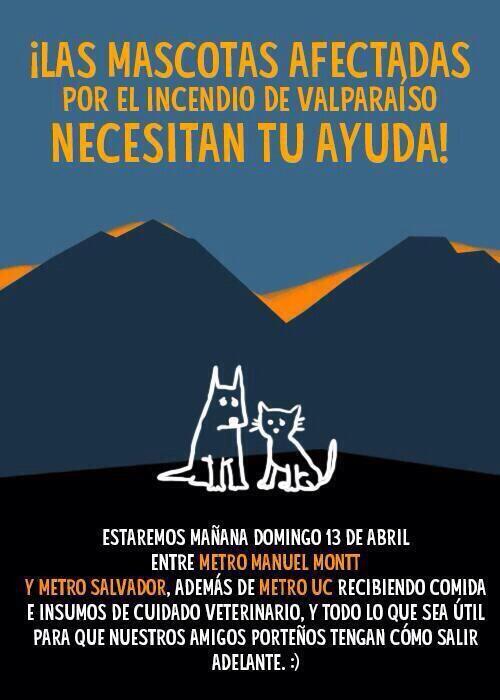 tanyaureta's tweet photo. ATENCIÓN STGO! TODOS A PONERSE CON LOS QUE SUFREN!! Centros de acopio para los #AnimalesValpo http://t.co/irlODP3XLX””