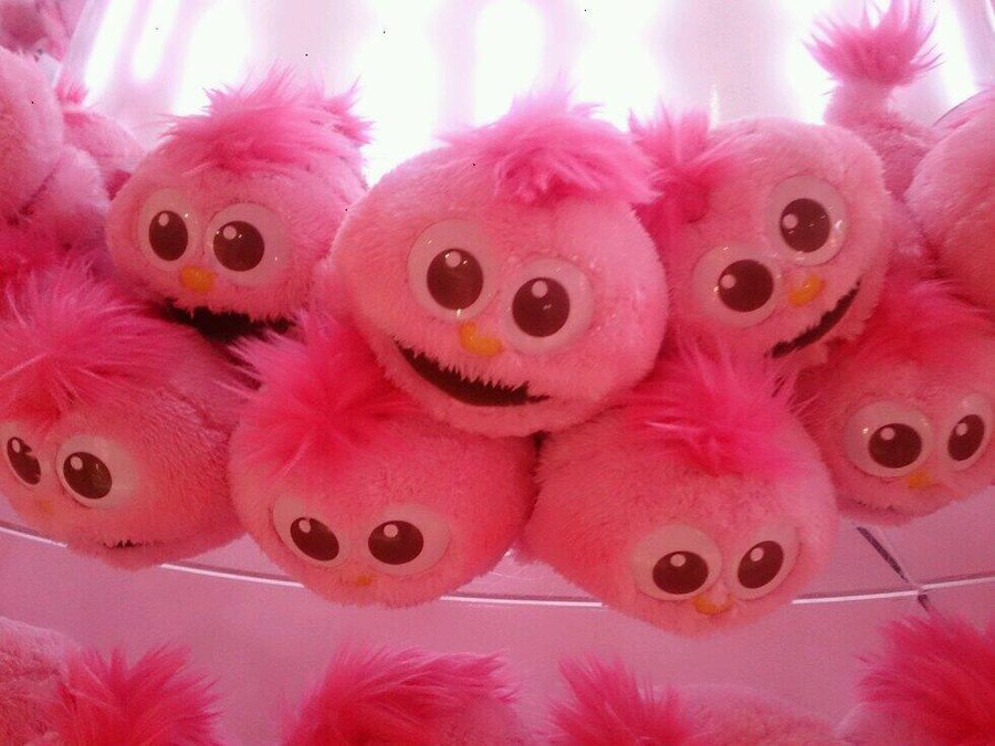もっぴぃのせかい 小さい寝そべりモッピーかわいい Http T Co R5doagf7vf Twitter