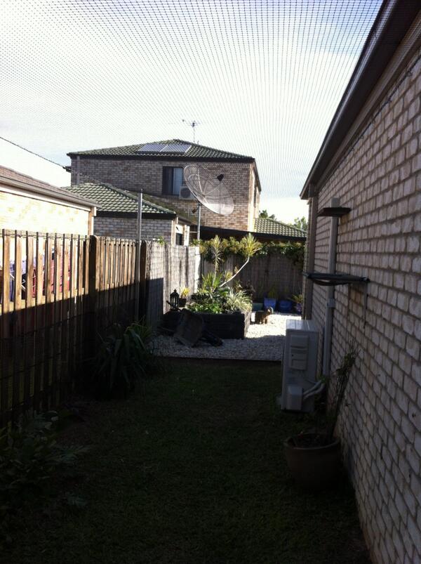 Auscatruns's tweet photo. One of our side enclosures @BondiVet http://t.co/lY1pOY2cPv