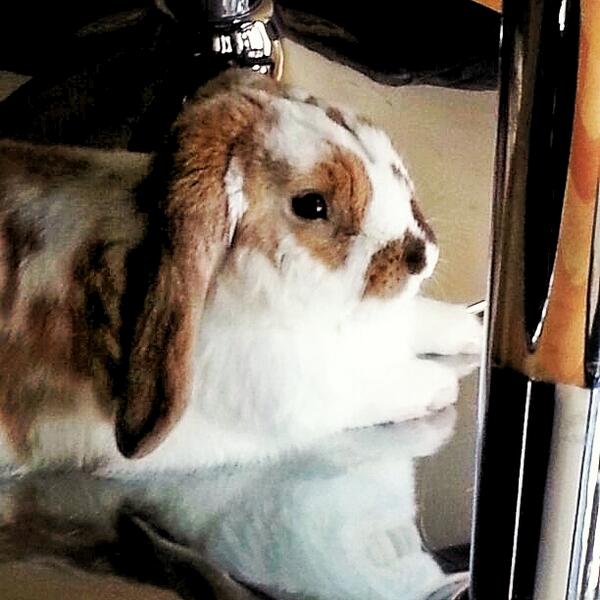 Strike a pose! 😊😍💜 #MummyLovesMe