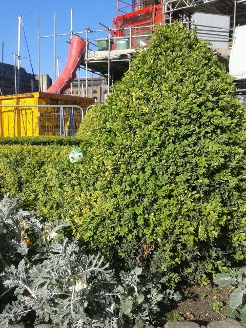 WheresPascal_'s tweet image. Pascal tried to steal a boat. Unsuccessfully.  Now he's hiding from law enforcement.  #pascamouflage