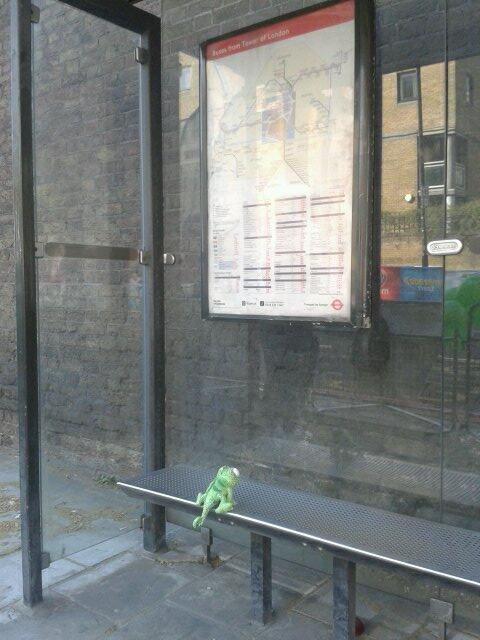 WheresPascal_'s tweet image. He's making a break for it! Checking the bus times #paschedule