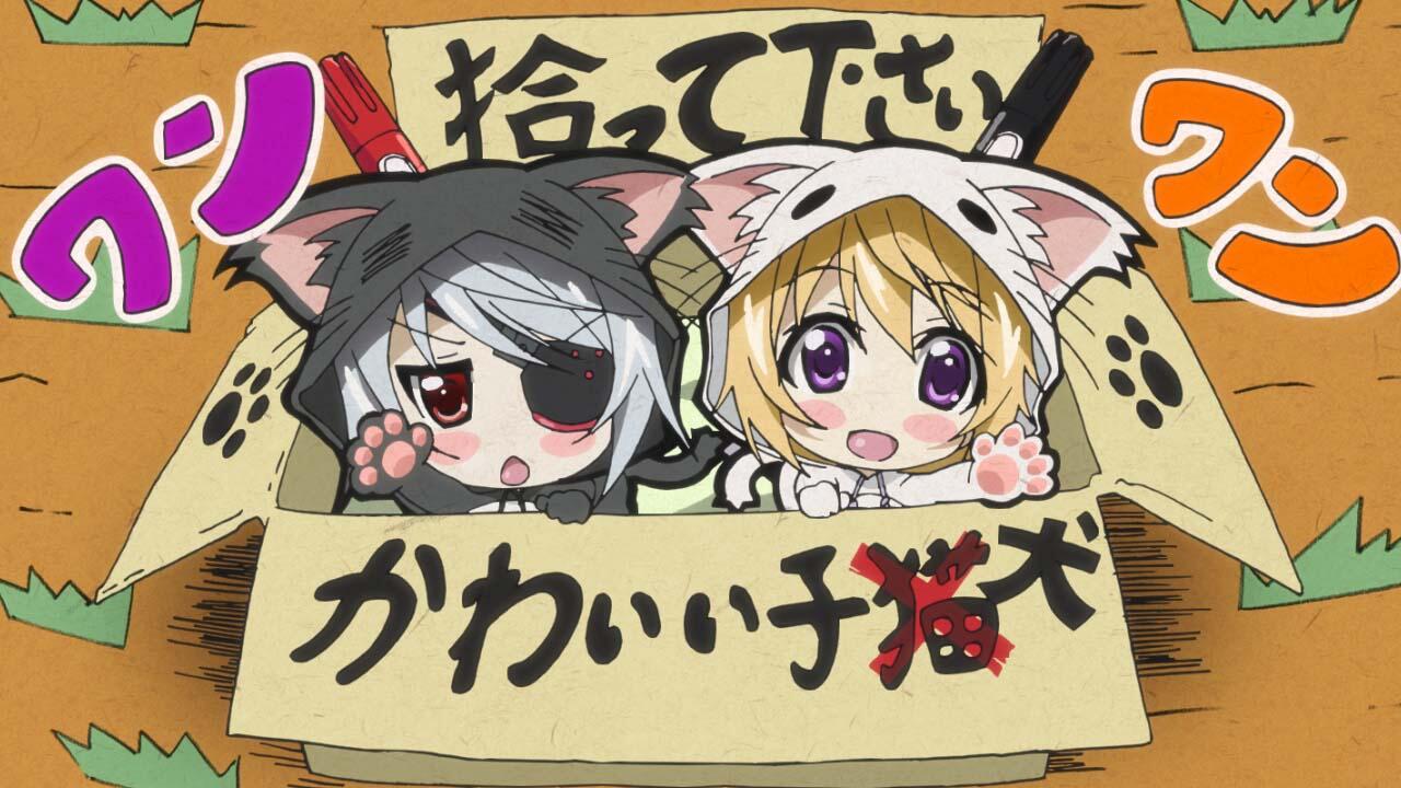 Y*s様 未開封　IS インフィニット・ストラトス　ラウラ＆シャル ネコミミパジ Amazon.co.jp: IS〈インフィニット・ストラトス〉 4 (MF文庫J