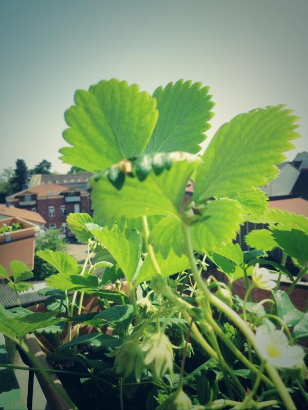 #mitgefragt genießt die Sonne! Und ihr so?
