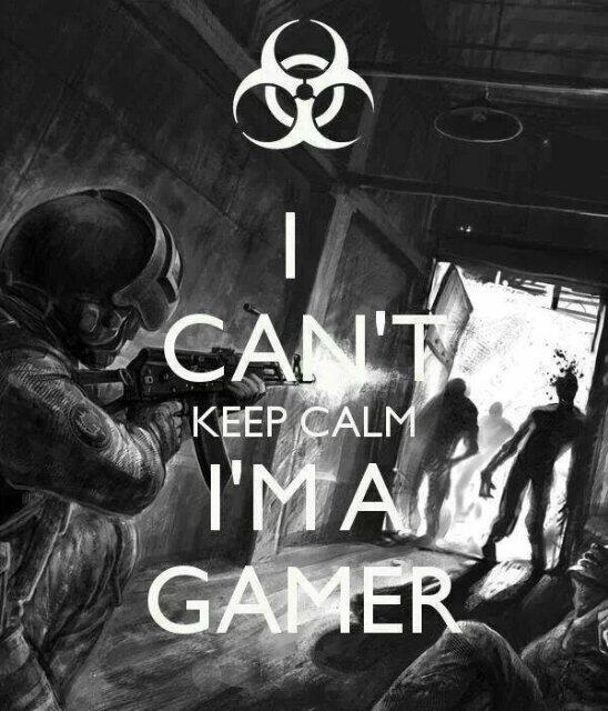 immVision's tweet image. 