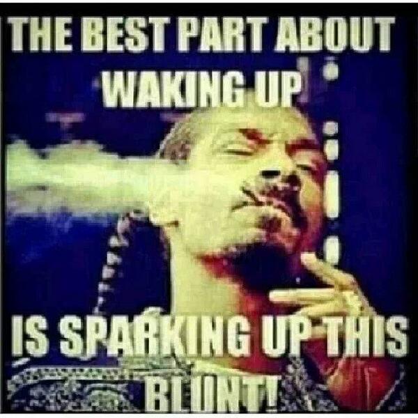 AboutThatBag's tweet image. #SelfExplainitory