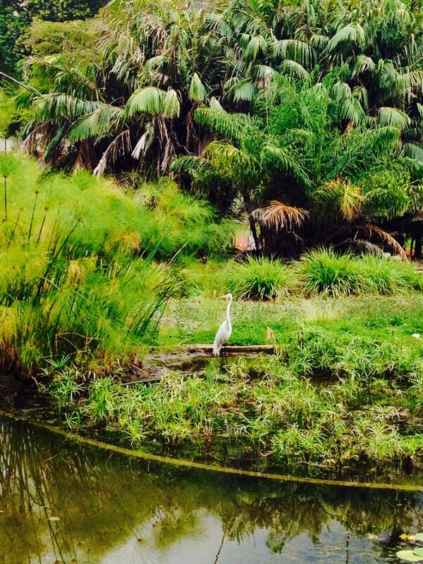 maykert74's tweet photo. Admirar la obra de la Divinidad hecha naturaleza viva me hace humilde http://t.co/lnsEfcdzUo