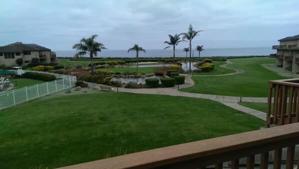 SupportEnforcer's tweet image. My work here is almost done.