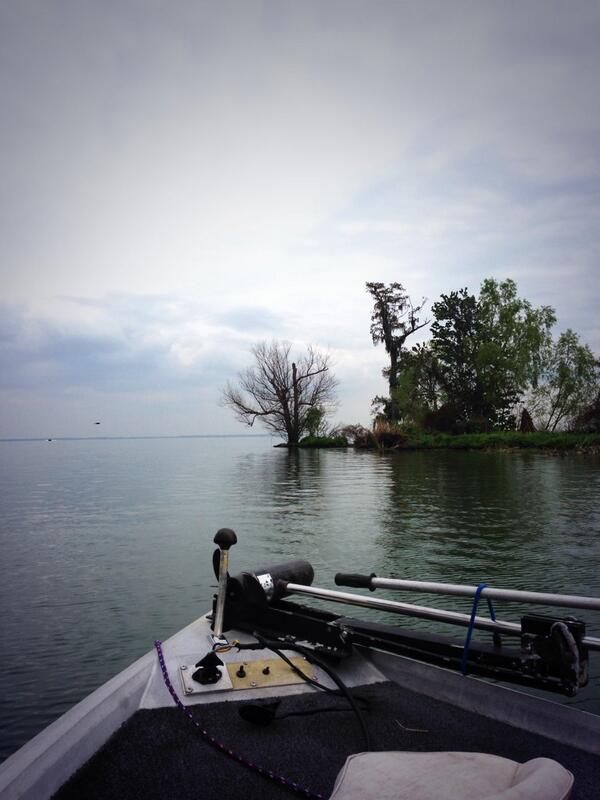 Beyond beautiful 😍