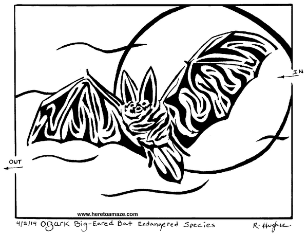 cryptomazes's tweet image. Ozark Big Eared Bat Maze - heretoamaze.com/2014/04/13/oza…