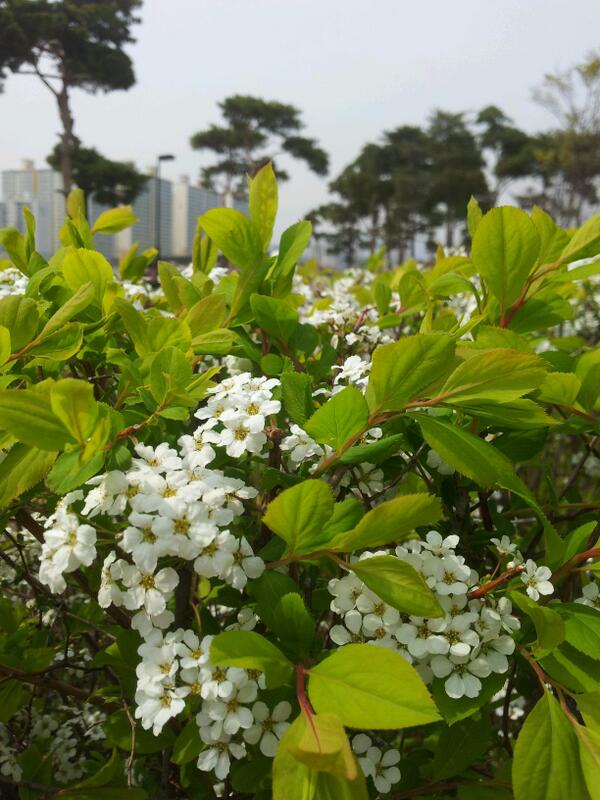 신천지 약속의목자,시대마다 부패한 세계의 신앙을 회복하는 이긴자(2)                      blog.cyworld.com/kimyoungs006/6…