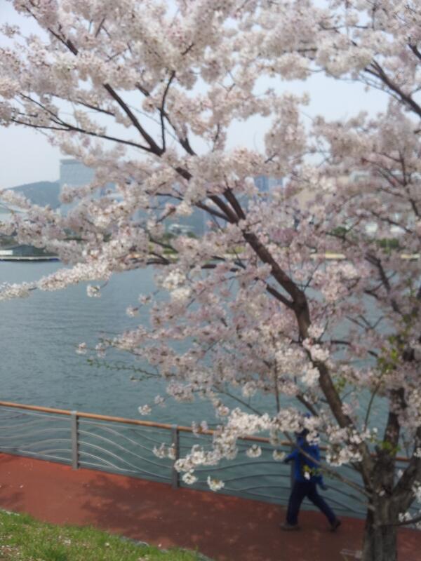 신천지 안드레지파,아담, 노아, 모세, 예수님, 이긴 사자(이긴 자) 세계의 신앙  blog.cyworld.com/grqwtw/7850631