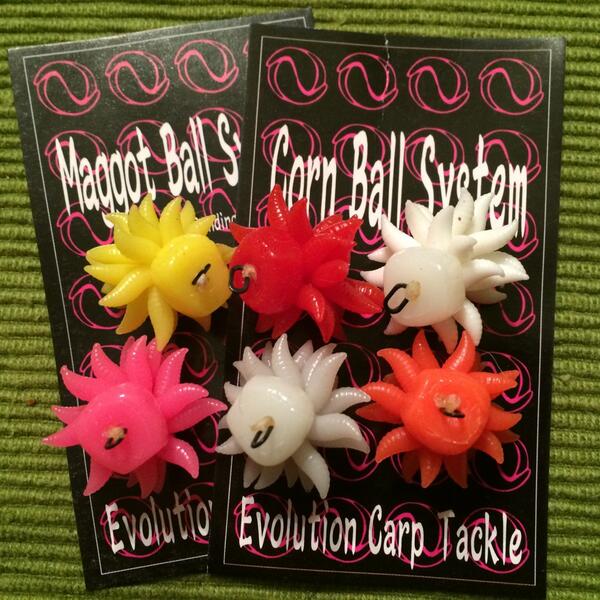 EvolutionCarpTackle tweet media