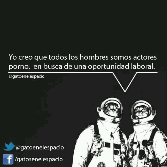 GatoEnElEspacio's tweet photo. #gatosenelespacio http://t.co/sZbZcHEgYh