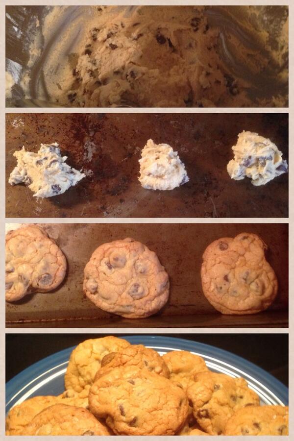 The circle of life-cookie style! pic-collage.com/_AuhipRSS