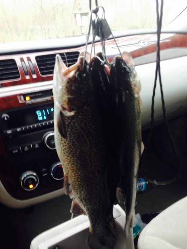 Cidlik53's tweet photo. This is just one reason I need a truck http://t.co/fpTOD3A4Ll
