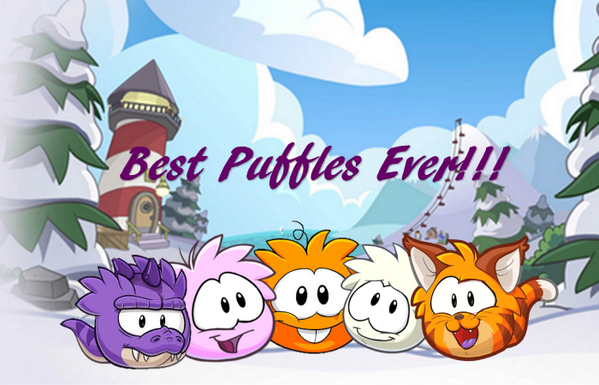 Starlight114cp's tweet photo. These Puffles are my favourite
#LovePuffles 
#CatPuffle http://t.co/txR33HMsMU