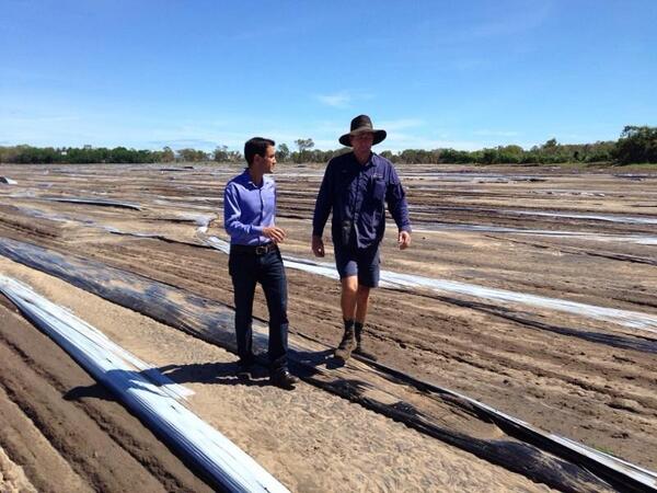 DavidCrisafulli's tweet image. Twice in 2 days agriculture takes a battering. Tomato farmers in Bowen on their knees. Community will rally. #TCIta