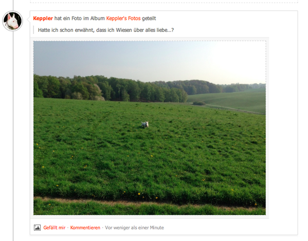 a_keppler's tweet photo. Ich liebe ja Wiesen: http://t.co/XVj4QEaH5O http://t.co/1cHue6ssyT