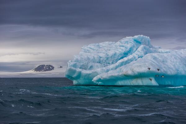 Russian Arctic tweet media