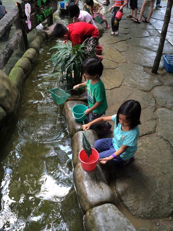 FamilyTravelMY's tweet photo. Kids really enjoy at #farminthecity thanks #virtualmalaysia http://t.co/Ghk2Aa2GtC