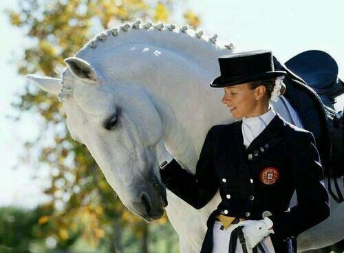 Free Equestrian. tweet media