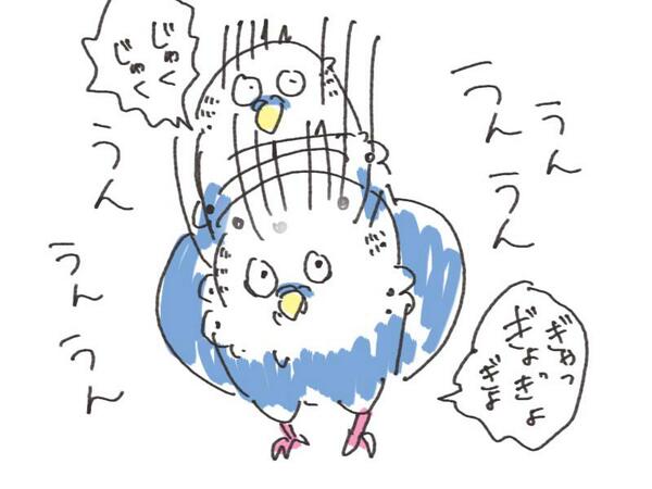 落書きインコ 