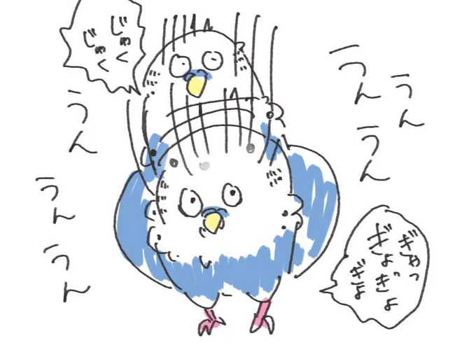 落書きインコ 