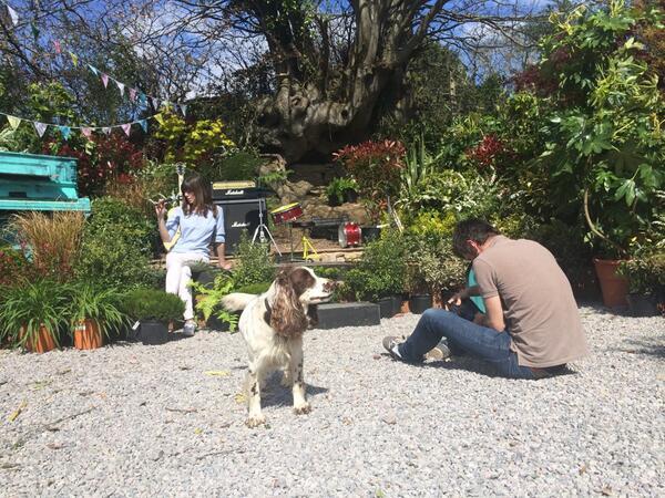 RHS Malvern Festival (@rhsmalvern) on Twitter photo On location today <a href="/PeterDowle/">Peter Dowle</a>'s Nursery shooting for an exciting <a href="/CotswoldStyle/">Live24sevenCotswolds</a> cover! <a href="/cheltfestivals/">Cheltenham Festivals</a> <a href="/MalvernShow/">Raleigh SEO Expert</a> On location today <a href="/PeterDowle/">Peter Dowle</a>'s Nursery shooting for an exciting <a href="/CotswoldStyle/">Live24sevenCotswolds</a> cover! <a href="/cheltfestivals/">Cheltenham Festivals</a> <a href="/MalvernShow/">Raleigh SEO Expert</a>