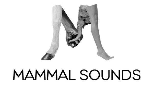 acidstag's tweet photo. Introducing @Mammal_Sounds - a music publicity service for all musos looking to be heard. http://t.co/jLEN8SL2k6 http://t.co/7Jk921VHoL