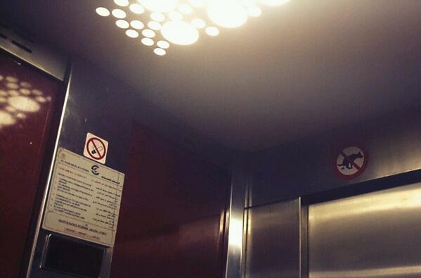 djinni88's tweet photo. Dogs... please...no pooping in the elevator! http://t.co/F6mtMazYL8