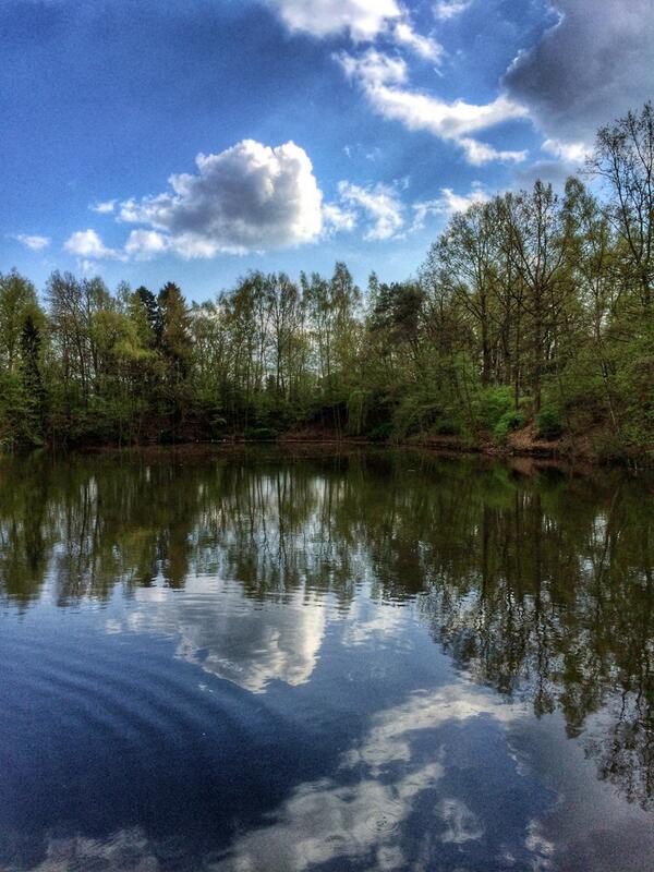 berlinka_lg's tweet photo. Clouds in the water☁️- #Lilienthalpark🌸- #Berlin #Steglitz #Lichterfelde #DoYouKnowBerlin #nature #Берлин #Fliegeberg http://t.co/0i5Abd4TH2