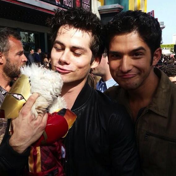ScilesSpain's tweet photo. El mejor momento de la gala: O'Brosey con uno de los perros. #MovieAwards #MTVMovieAwards http://t.co/TbzgFrXXkk