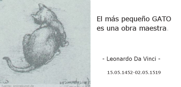Las7Vidas's tweet photo. Totalmente de acuerdo! @mimigashirts: Hoy hace 562 años nació Leonardo Da Vinci acunador de la frase #gatuna... http://t.co/fscR9HPBso