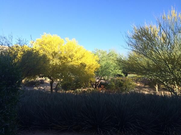kgspa's tweet image. A beautiful day in Phoenix! Thrilled to welcome new partners in to our @starkeyhearing networks!