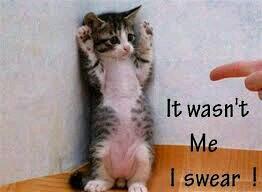 Typicallycomedy's tweet photo. Me when I fart... http://t.co/cNqFnkBQBy
