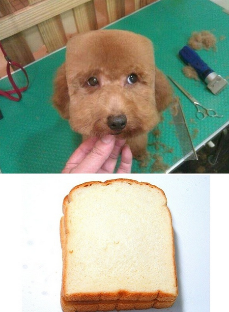 zoomh41's tweet photo. 심심한사람~이거해봐~
http://t.co/WUPlAZn7nj http://t.co/vqvSRY8MqC
