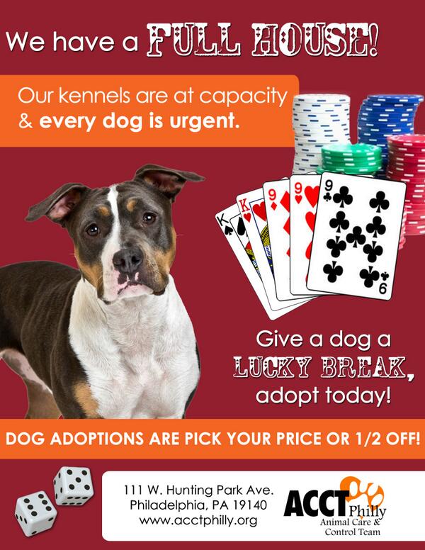 ACCTPhilly's tweet photo. We have a full house, kennels are at capacity! #Dog adoptions are 1/2 off or pick your price! #adopt #rescue #foster http://t.co/BNIXwfOf4u