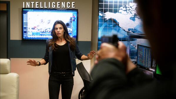 Intelligence  tweet media