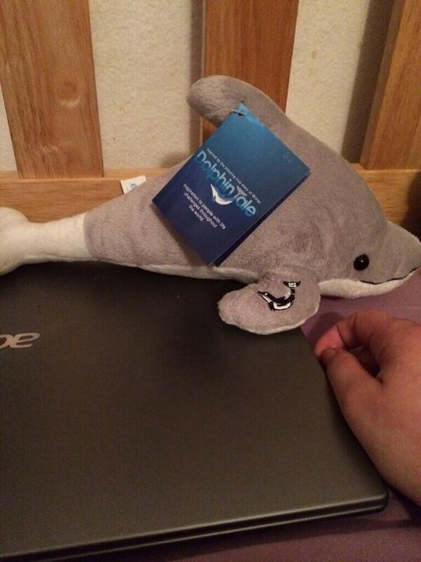 My <a href="/WinterDolphin/">Winter Dolphin</a> plushy I got from <a href="/CMAquarium/">Clearwater Aquarium</a> when I adopted her in seewinter.com