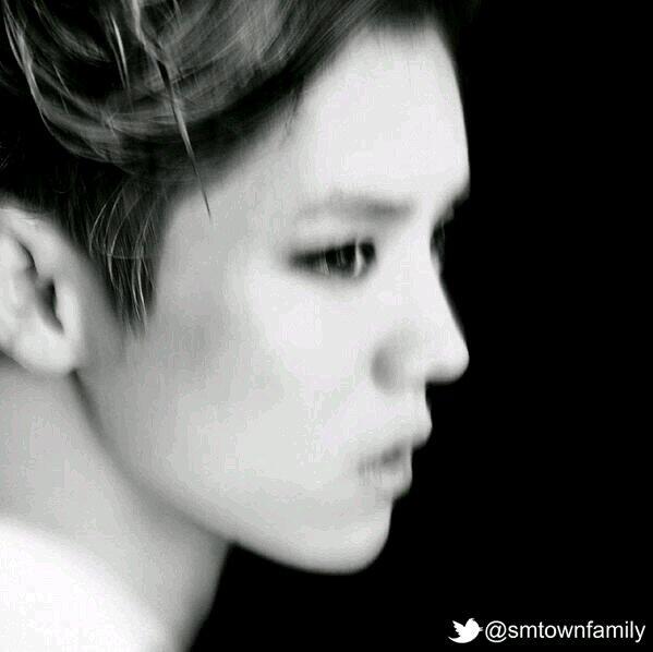 XO DanceCover™ tweet media