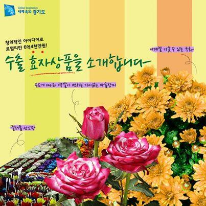 로열티 금액이 무려 6억4천만원~
온도에 따라 색이 변하는 마술장미, 가시 없는 장미, 사계절 국화...
창의적인 아이디어로 농업도 수출하는 경기도,  도민과 함께 하는 경기도의 상상은 현실이 됩니다!