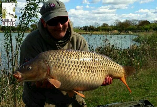 5 30+ fish out in 10 days from a Norfolk lake, get your rods out and get yourself a #Norfolkcarp
#carpfishing
#carp