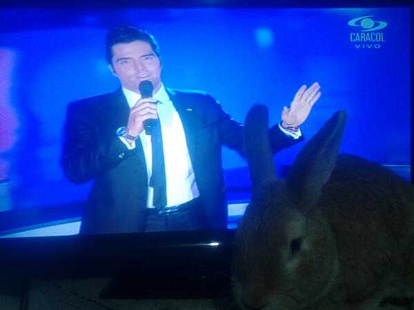 #viendoyomellamo con mi conejo SERAFIN