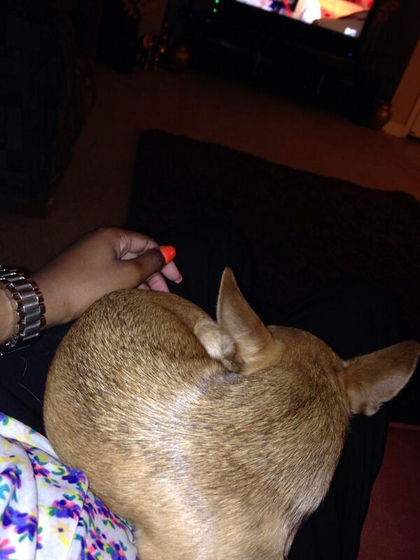 the_mocahontas's tweet image. She missed her momma!! #8hrshift #lonelyChica