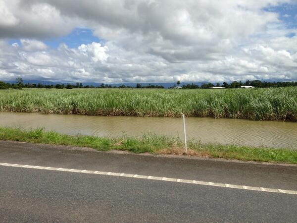 Chris_Campey's tweet image. Water water everywhere - will hurt #sugarcane crops. #fnq #TCIta #Tully @tennewsqld